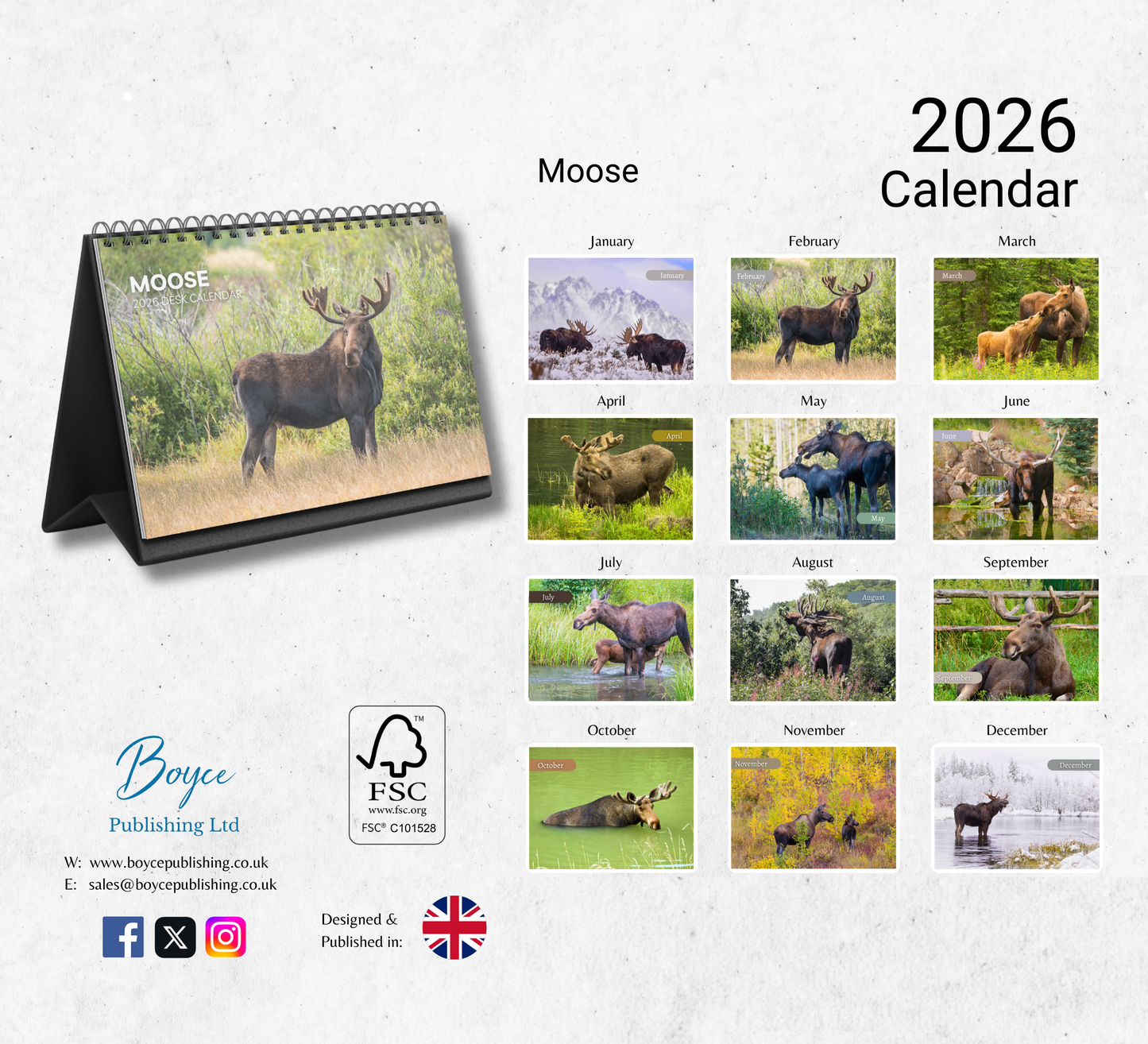 Moose Desk Calendar 2026-2027