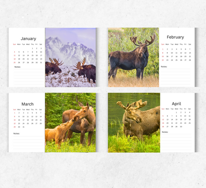 Moose Desk Calendar 2026-2027