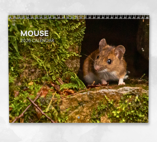 Mouse Calendar 2026