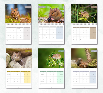 Mouse Calendar 2026