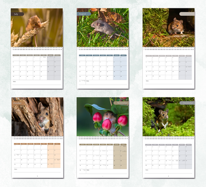 Mouse Calendar 2026