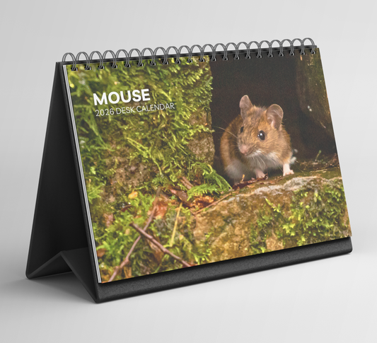 Mouse Desk Calendar 2026-2027