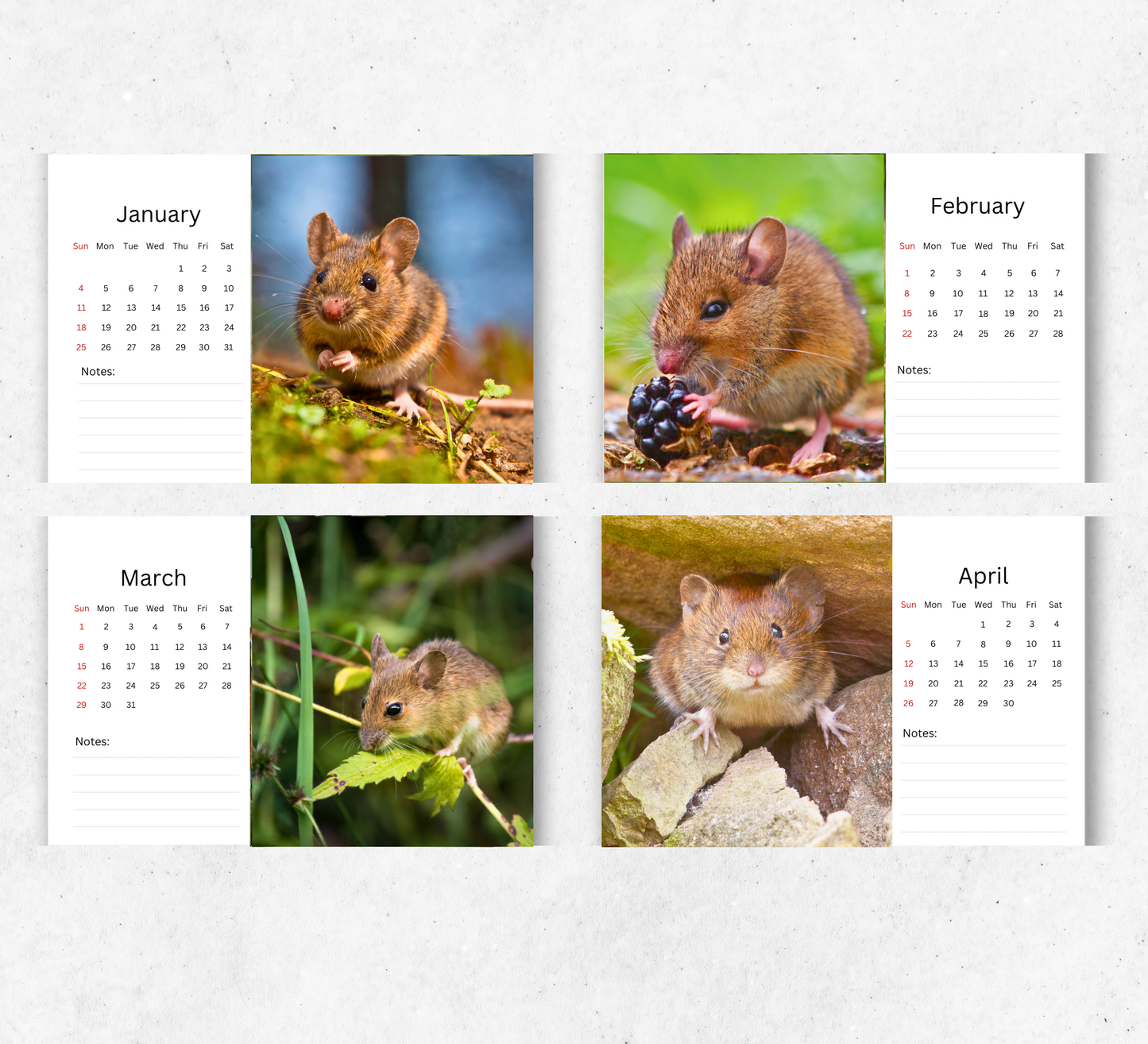 Mouse Desk Calendar 2026-2027