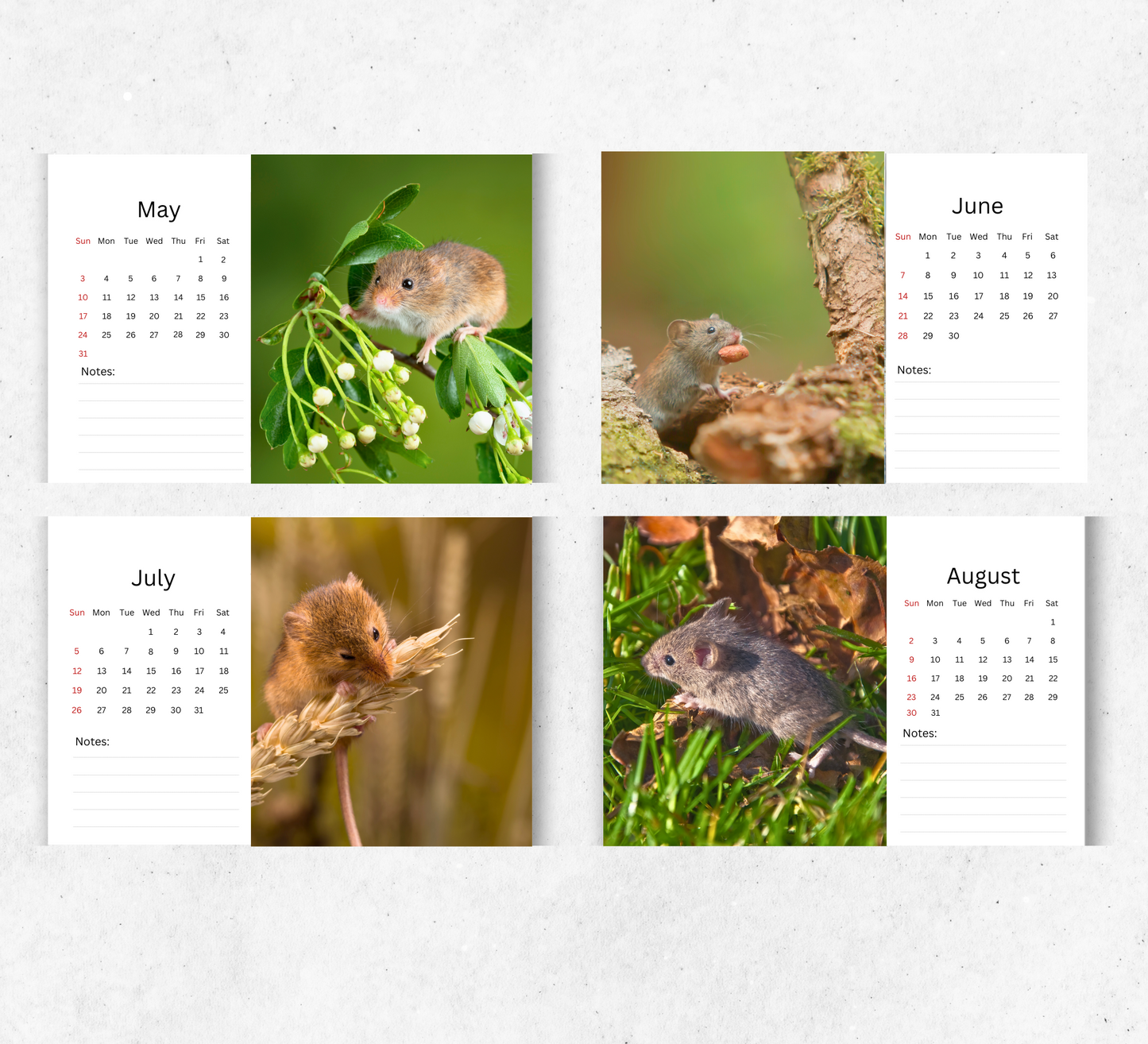 Mouse Desk Calendar 2026-2027
