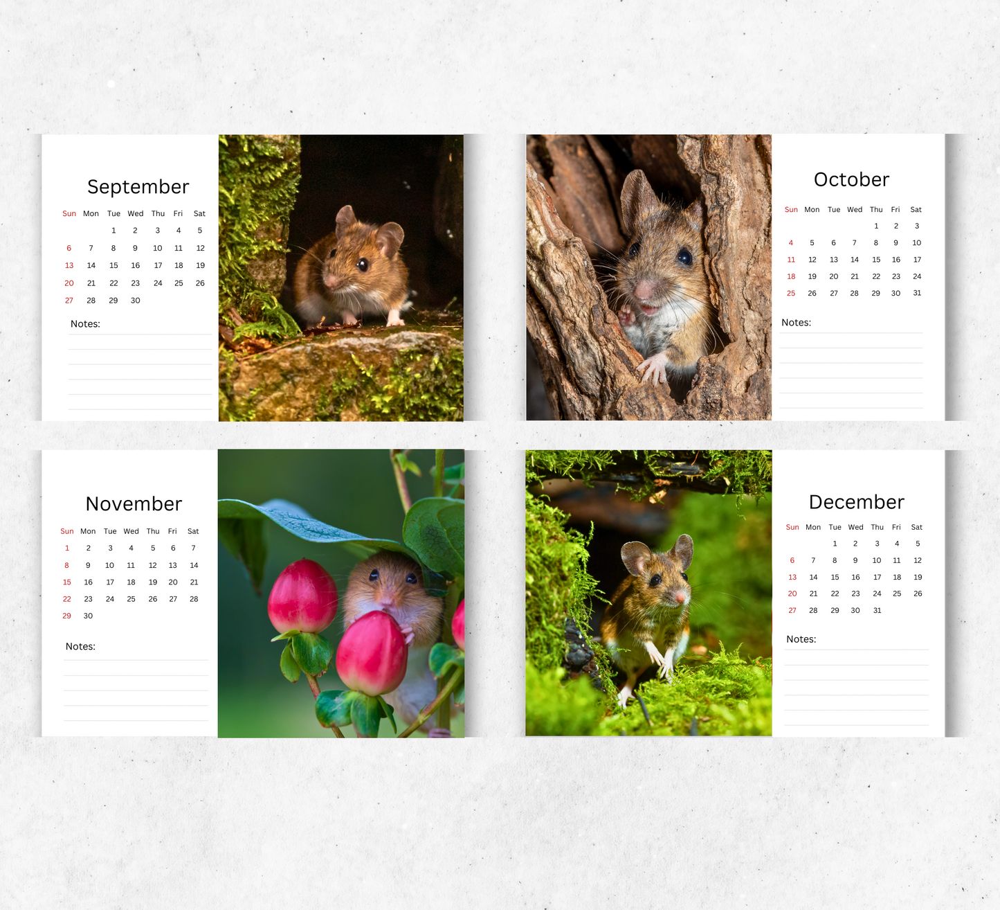 Mouse Desk Calendar 2026-2027