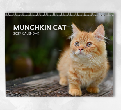 Munchkin Cat Calendar 2027