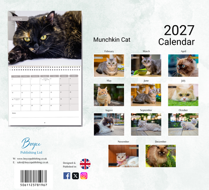 Munchkin Cat Calendar 2027