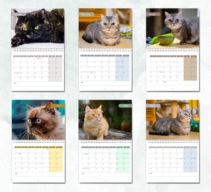 Munchkin Cat Calendar 2027
