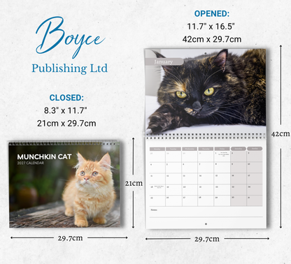 Munchkin Cat Calendar 2027