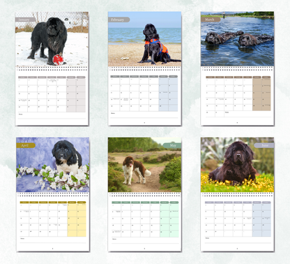 Newfoundland Calendar 2027