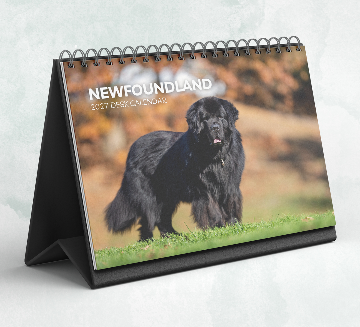 Newfoundland Desk Calendar 2027-2028