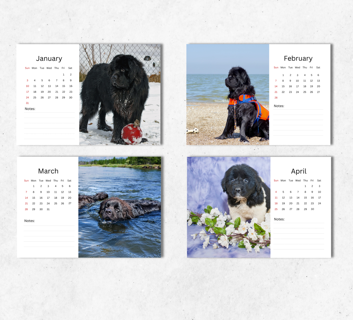 Newfoundland Desk Calendar 2027-2028