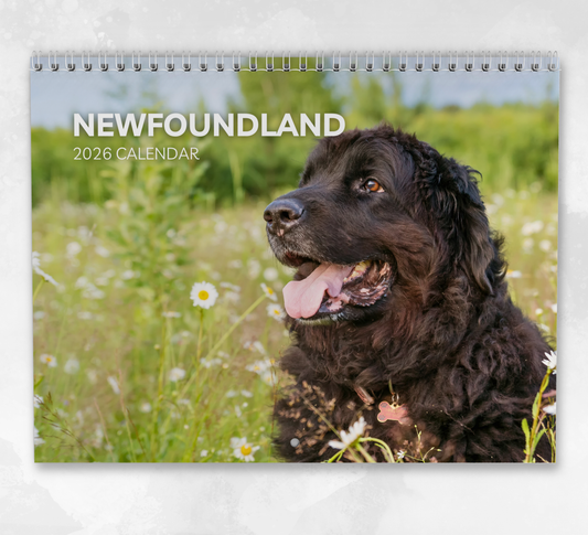 Newfoundland Calendar 2026