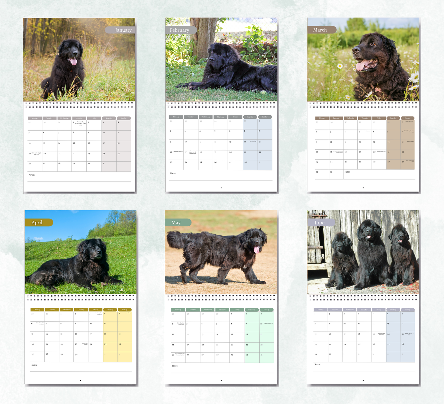 Newfoundland Calendar 2026