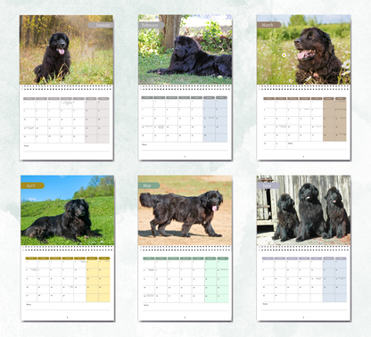 Newfoundland Calendar 2026