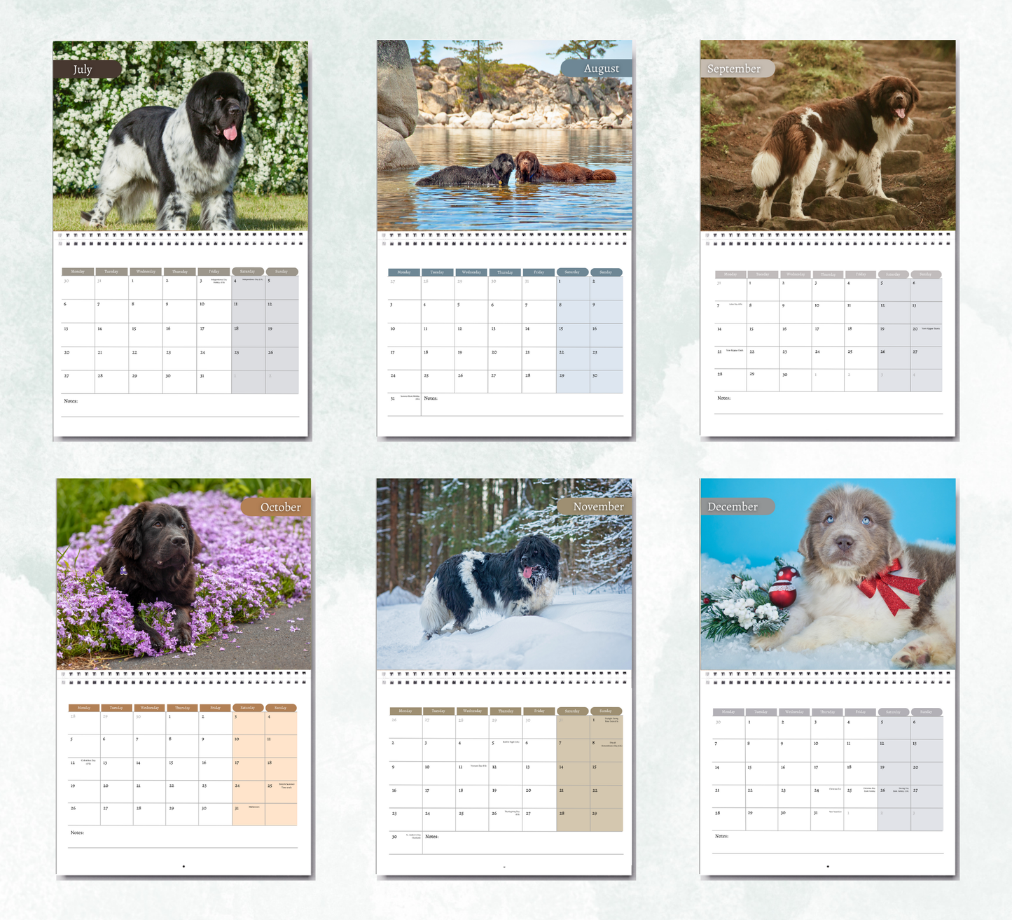 Newfoundland Calendar 2026