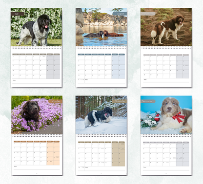 Newfoundland Calendar 2026