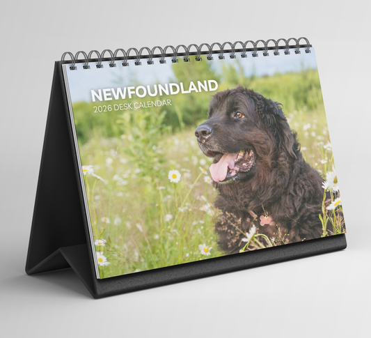 Newfoundland Desk Calendar 2026-2027
