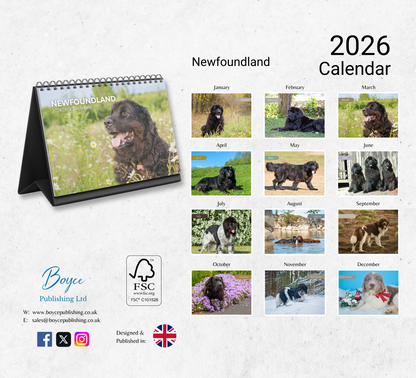Newfoundland Desk Calendar 2026-2027