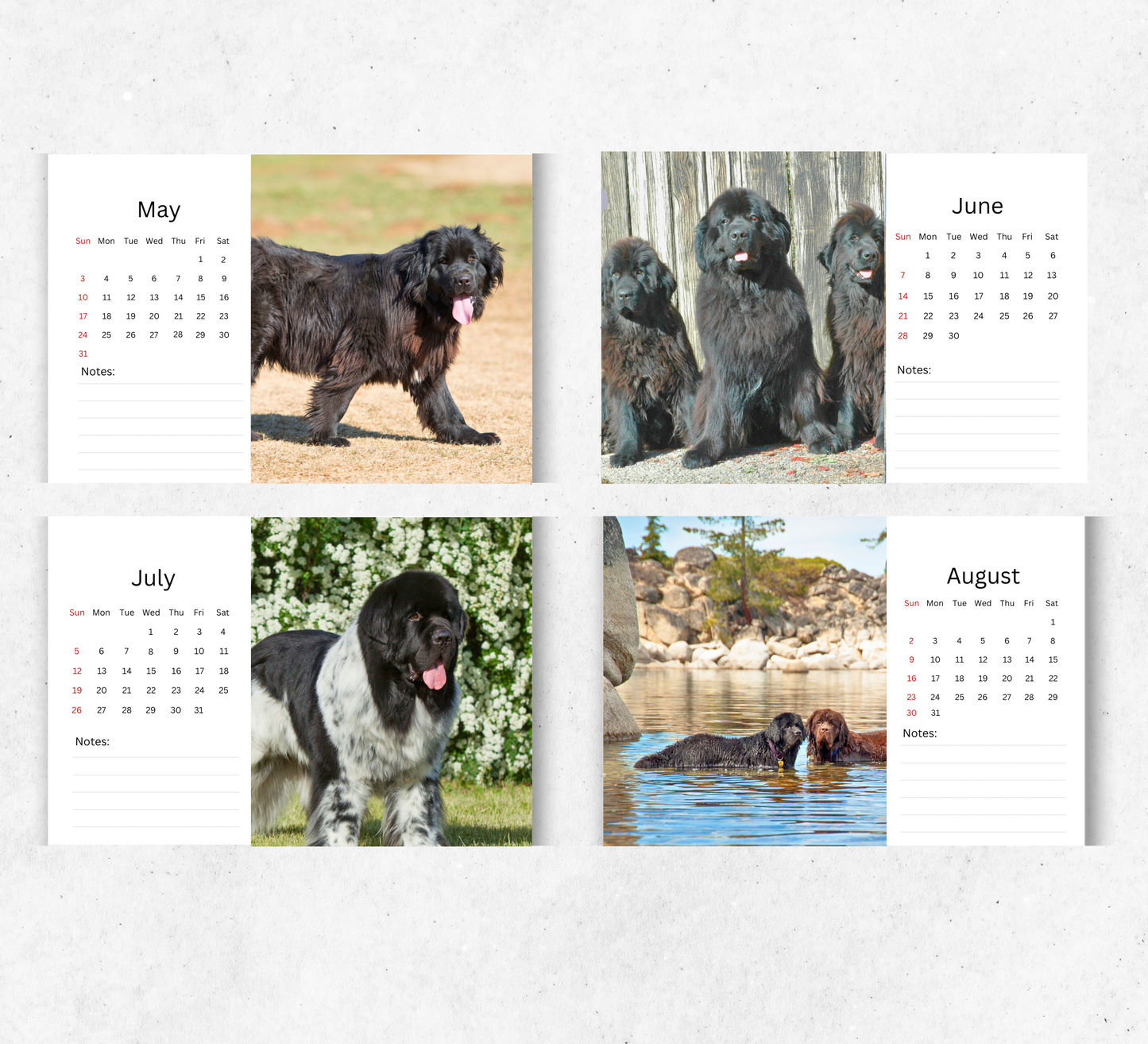 Newfoundland Desk Calendar 2026-2027