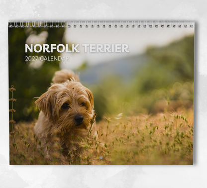 Norfolk Terrier Calendar 2027