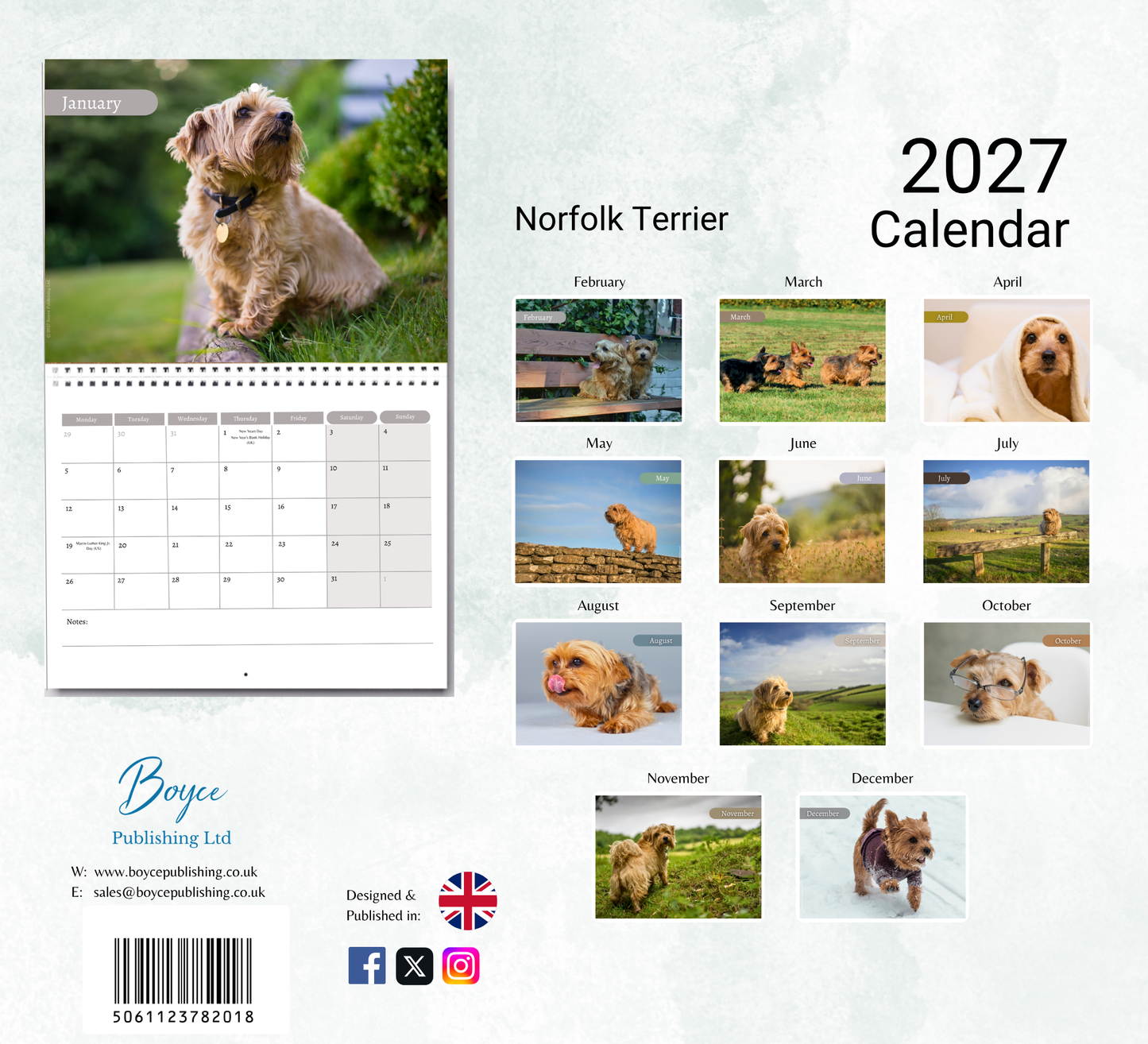 Norfolk Terrier Calendar 2027