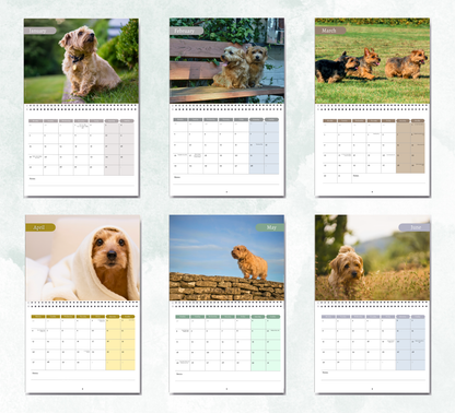 Norfolk Terrier Calendar 2027