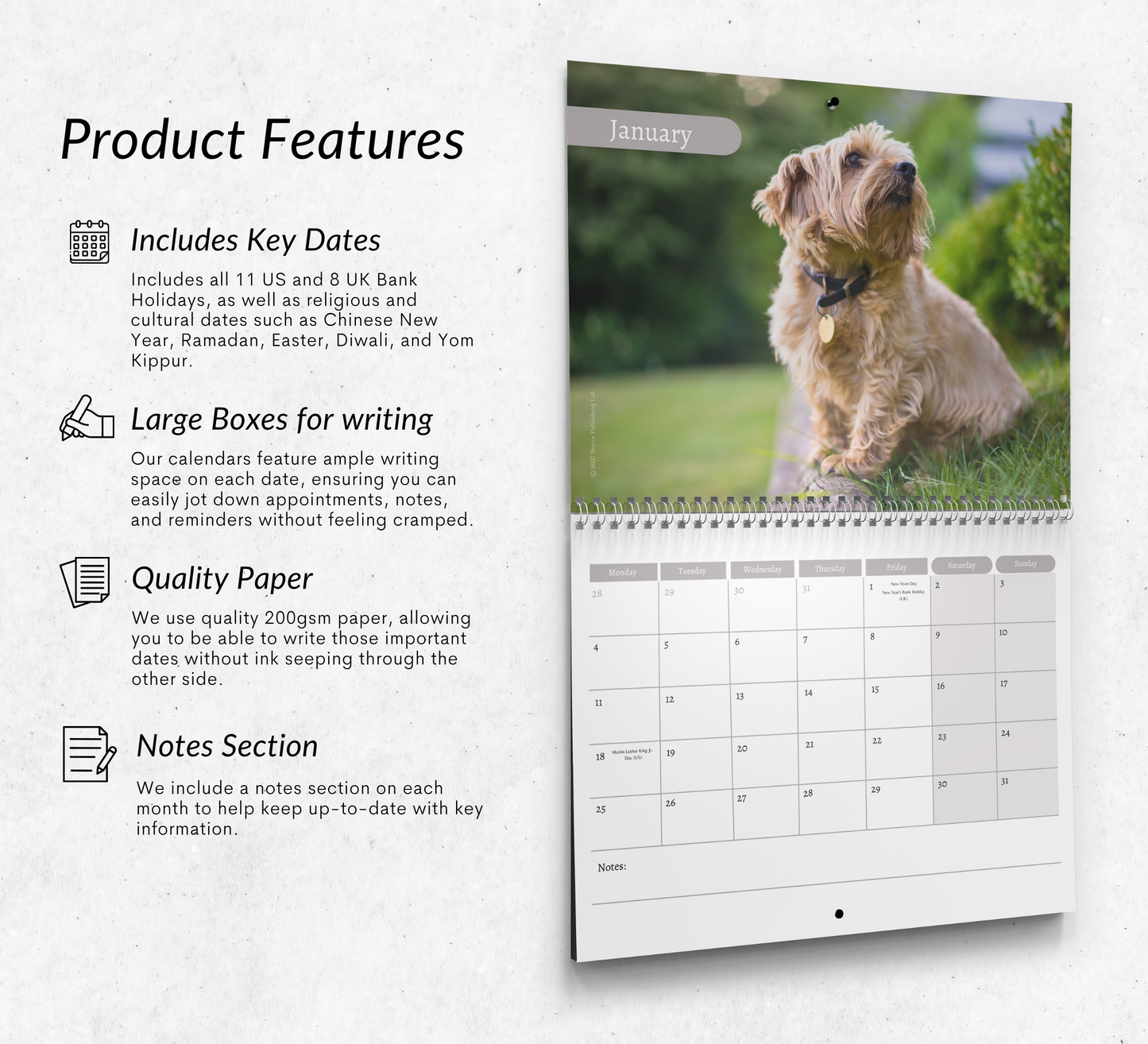 Norfolk Terrier Calendar 2027