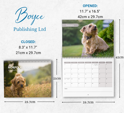 Norfolk Terrier Calendar 2027