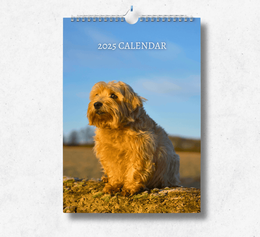 Norfolk Terrier Calendar 2025