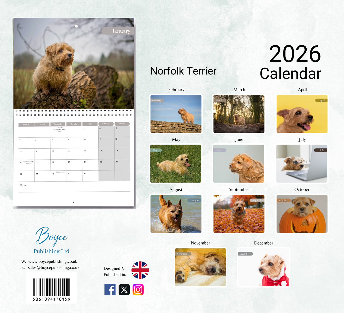 Norfolk Terrier Calendar 2026