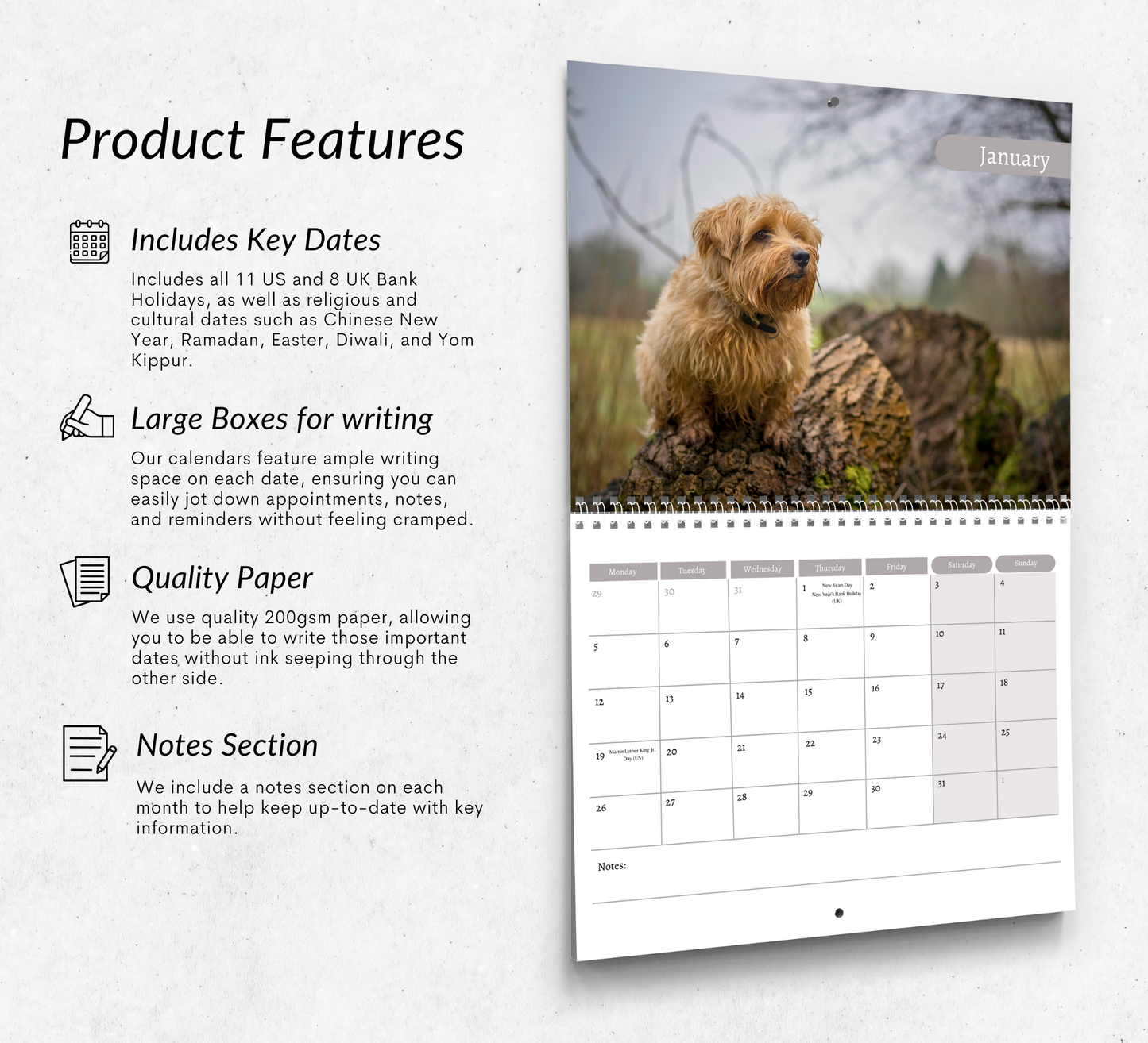 Norfolk Terrier Calendar 2026
