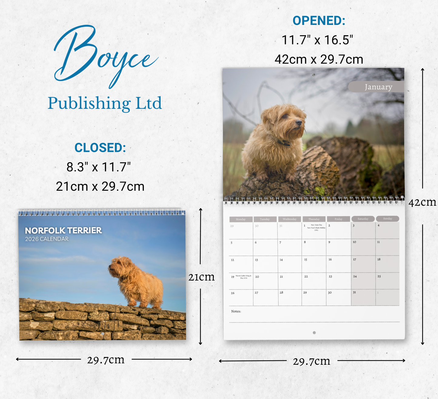 Norfolk Terrier Calendar 2026