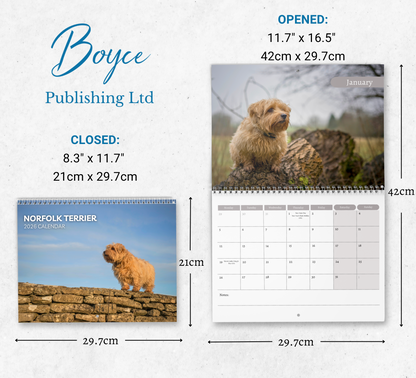 Norfolk Terrier Calendar 2026