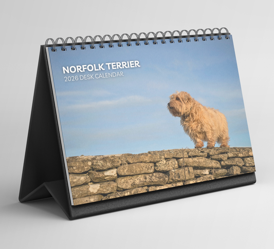 Norfolk Terrier Desk Calendar 2026-2027