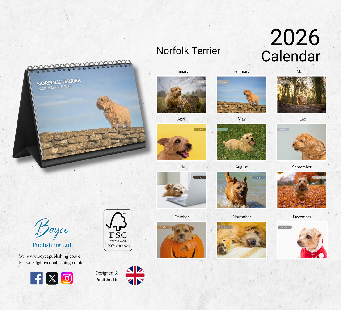 Norfolk Terrier Desk Calendar 2026-2027