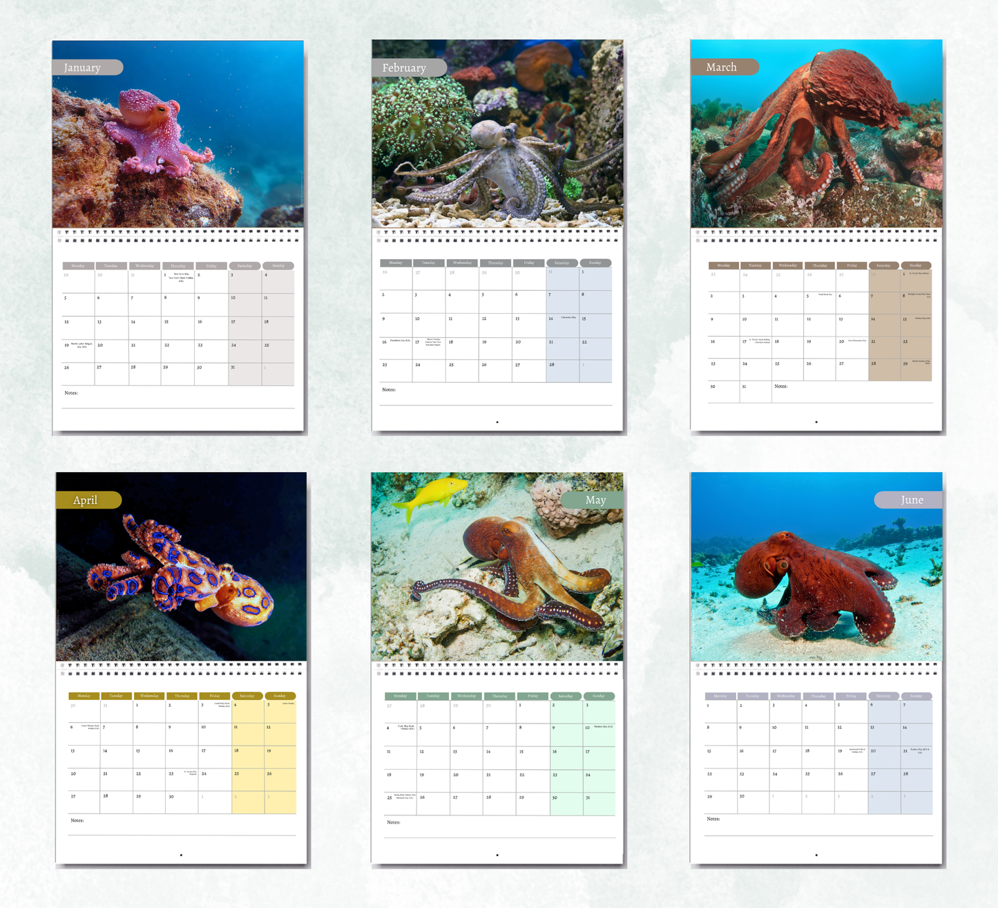 Octopus Calendar 2027