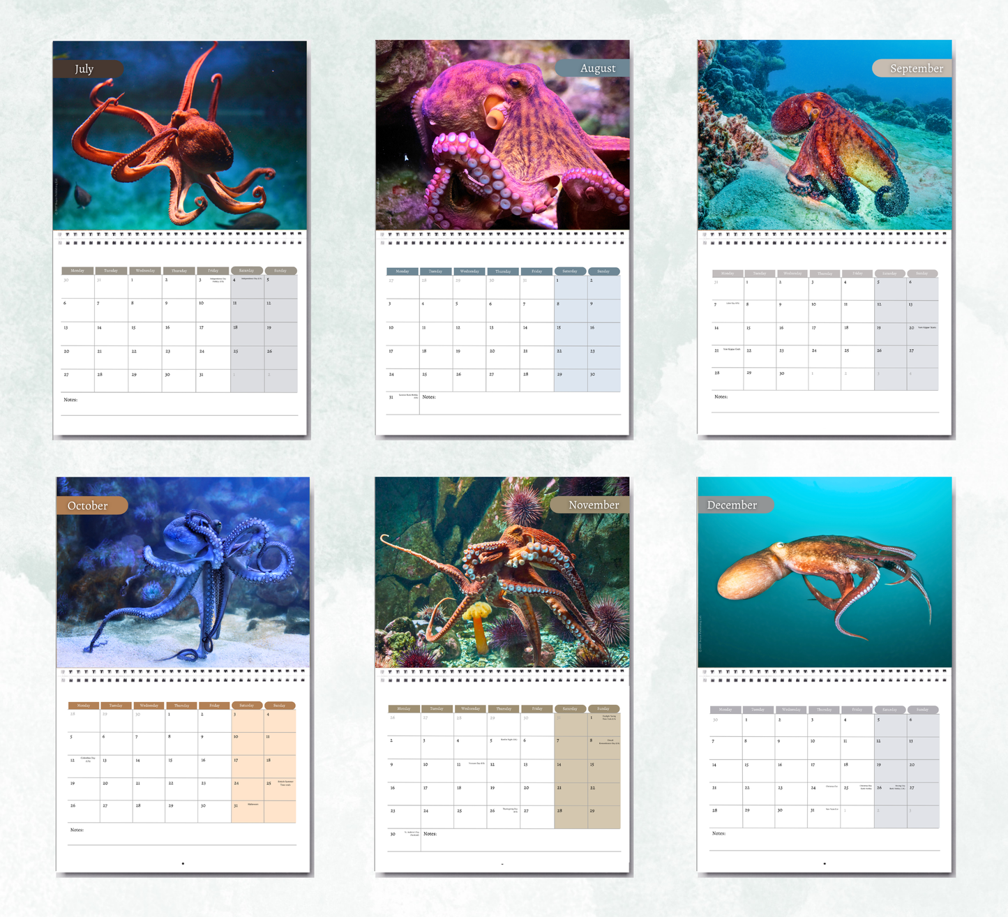 Octopus Calendar 2027