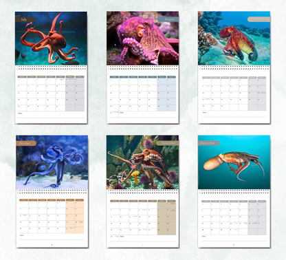 Octopus Calendar 2027