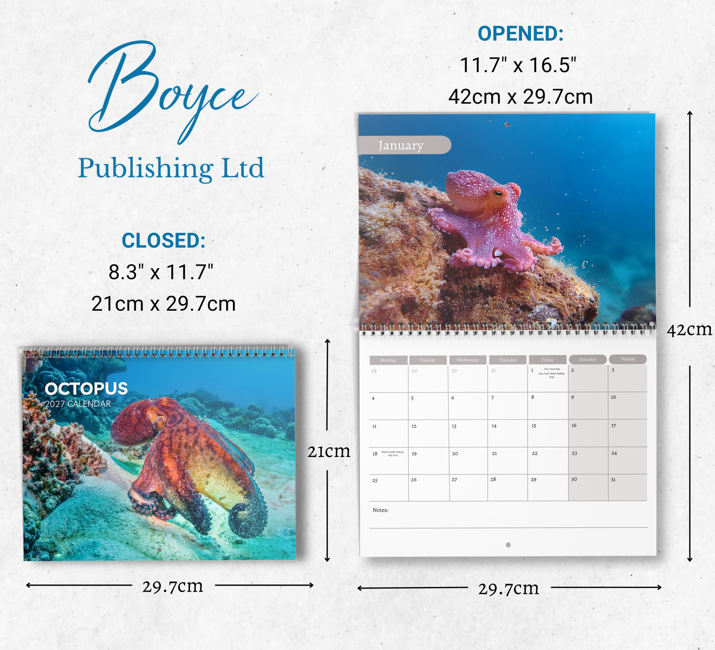 Octopus Calendar 2027