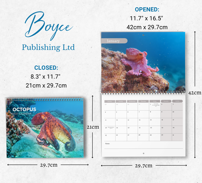Octopus Calendar 2027