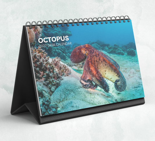 Octopus Desk Calendar 2027-2028