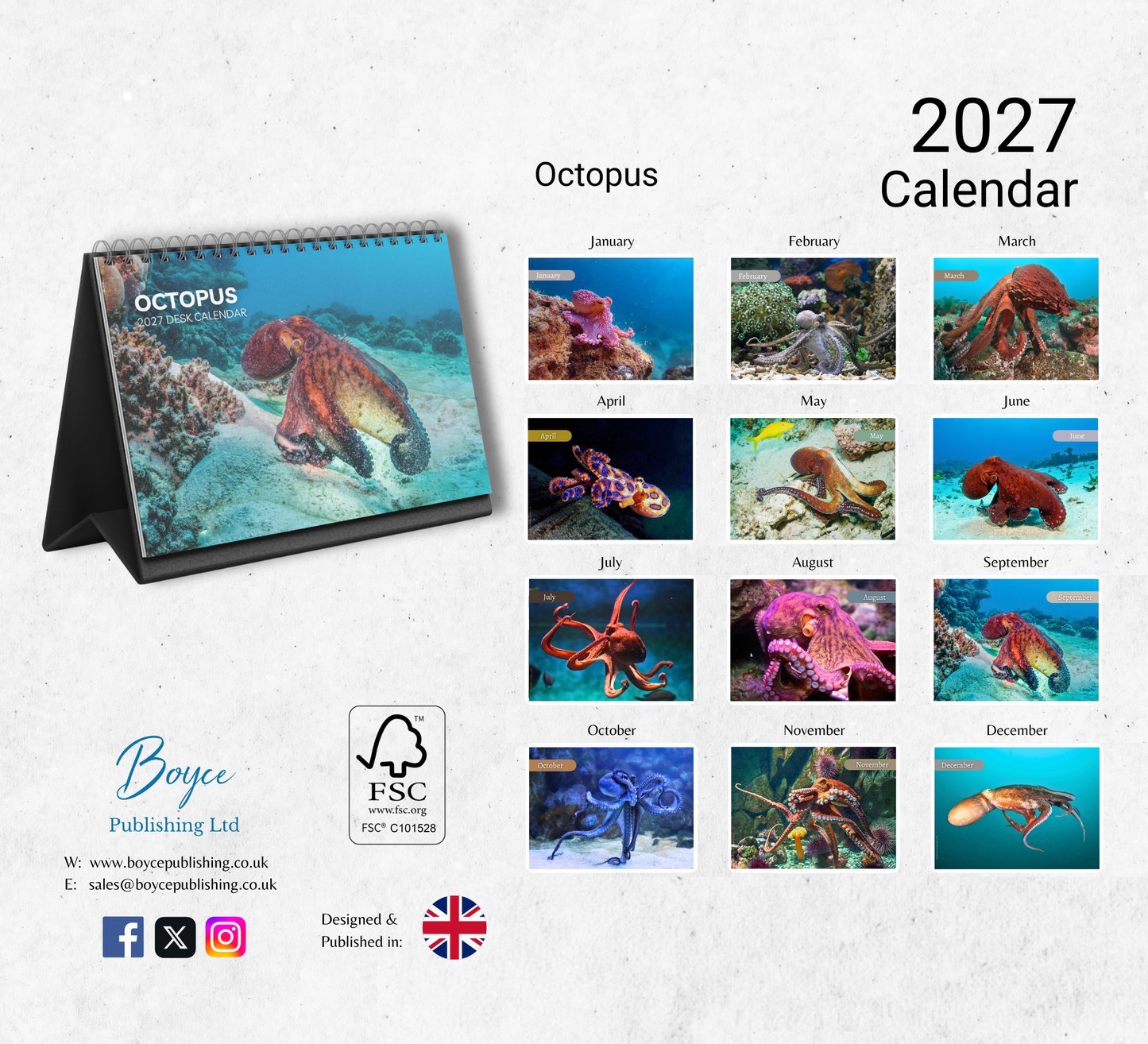 Octopus Desk Calendar 2027-2028