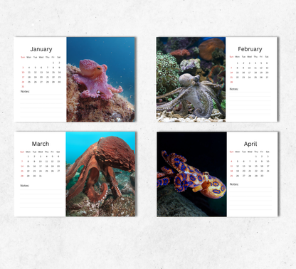 Octopus Desk Calendar 2027-2028