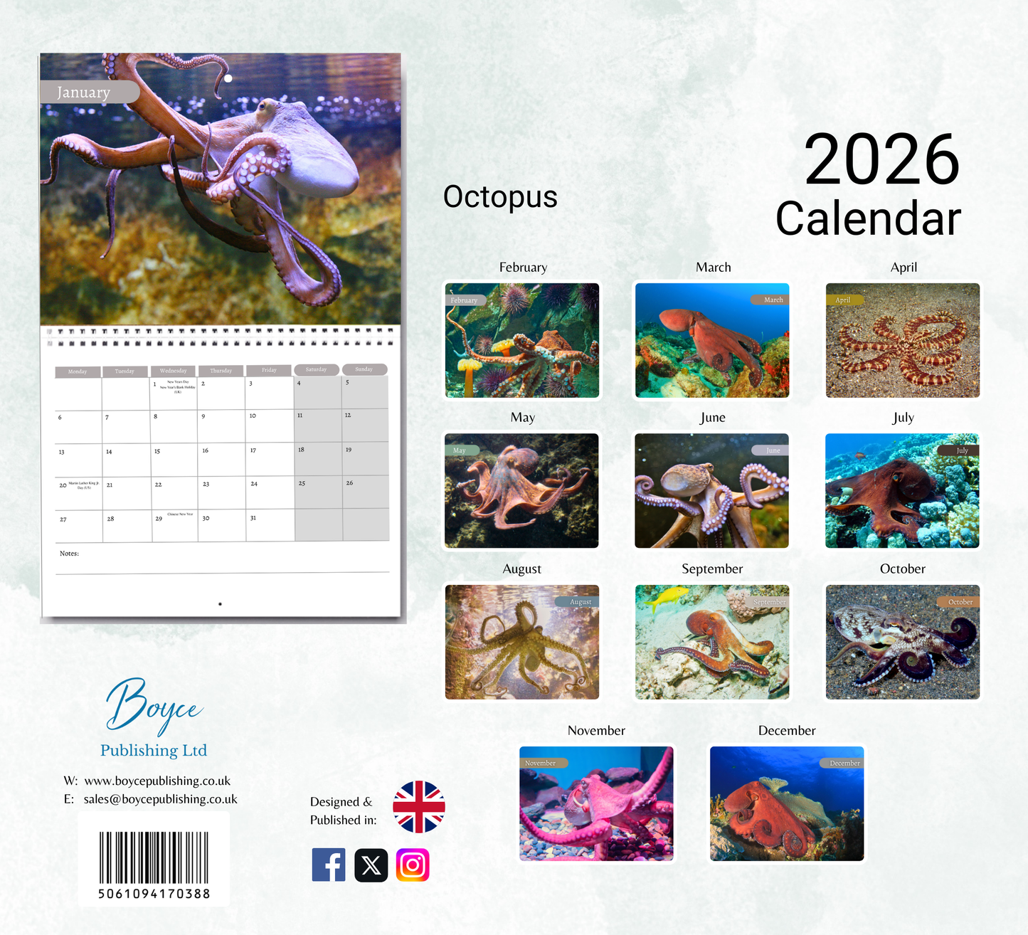 Octopus Calendar 2026