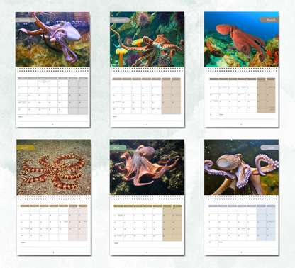 Octopus Calendar 2026