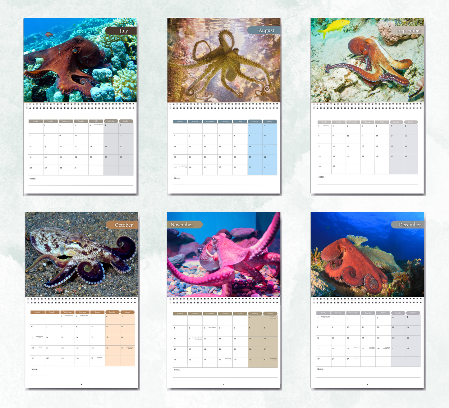 Octopus Calendar 2026