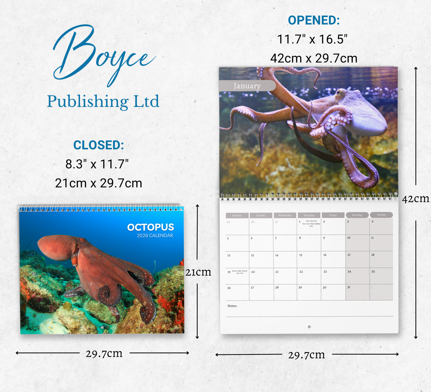Octopus Calendar 2026