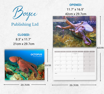 Octopus Calendar 2026