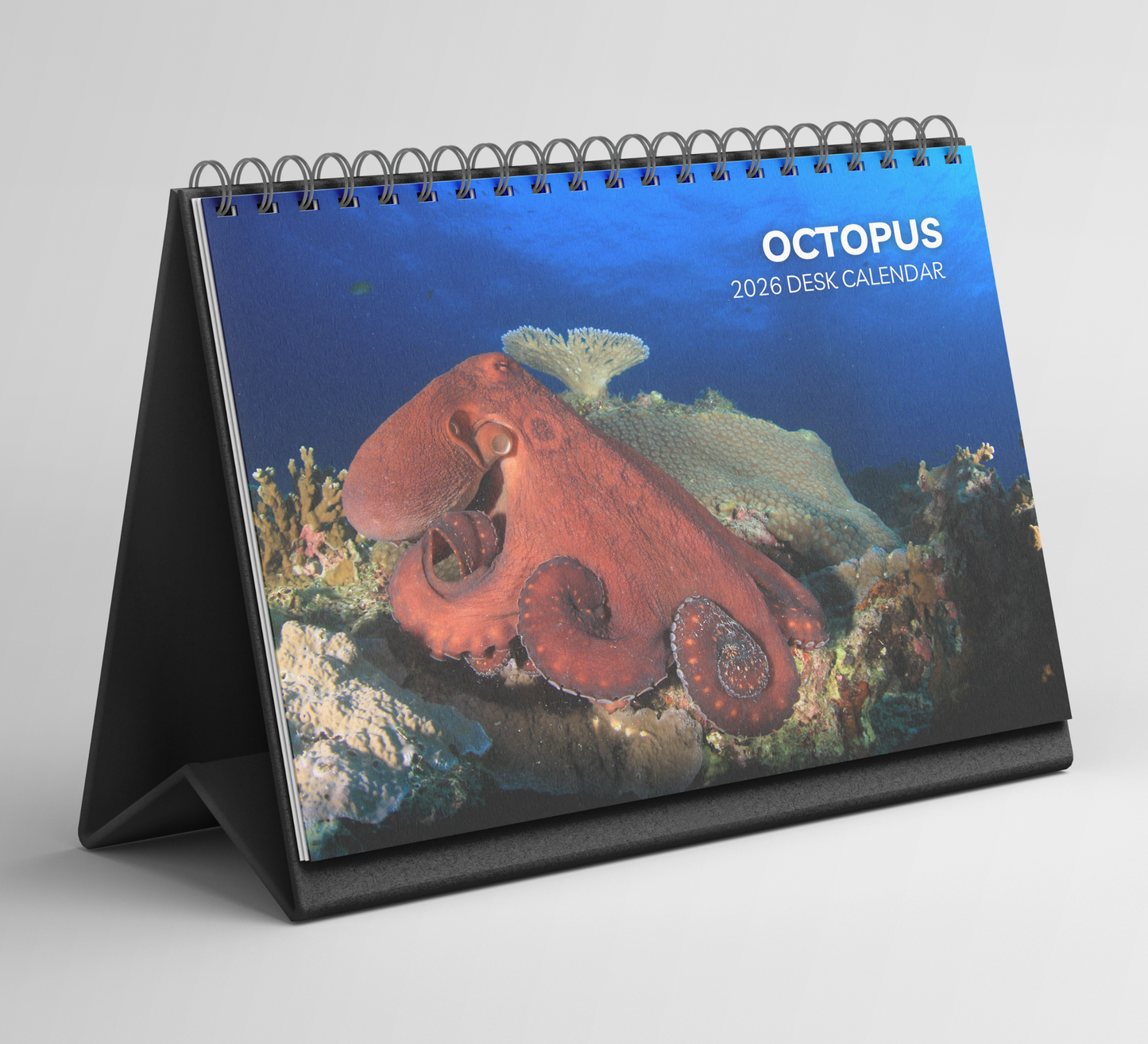 Octopus Desk Calendar 2026-2027
